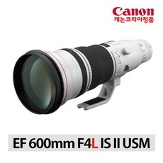 캐논600mm
