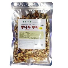 뽕나무분재