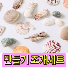 조개진주체험