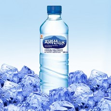 시원한 지리산산수 얼음물 500ml x 20개