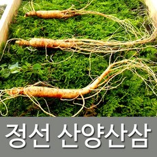 정선아리아리원