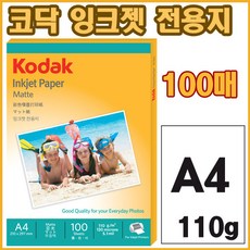코닥305