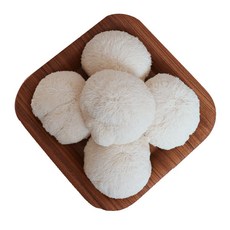 경남 산청 무농약 노루궁뎅이 버섯1kg / 6팩 당뇨에 좋은 건강선물추천