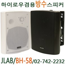 jvc300스피커