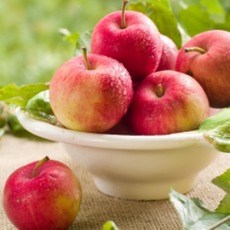 사과프래그런스오일