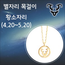 제나루체 패션목걸이 별자리 타투 목걸이 황소자리(4.20~5.20)