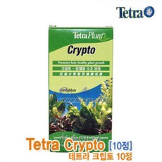 테트라 크립토 10정 [정제비료] 보충비료 수초영양제.수초보충비료, 1개
