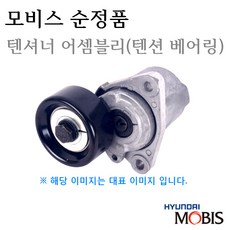 뉴스포티지타이밍벨트