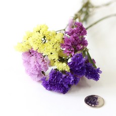 7f804819-ee09-4f85-8b05-113cfe79e1f3.jpg