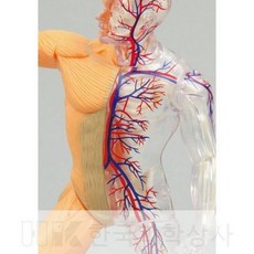 체육수업모형3판