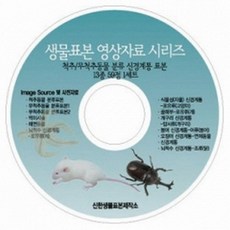 척추/무척추동물분류및신경계통표본13종