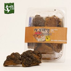 송일품 차가버섯 원물 100g 러시아, 1개, 1개