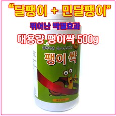 갯민숭달팽이