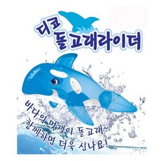 돌고래라이더
