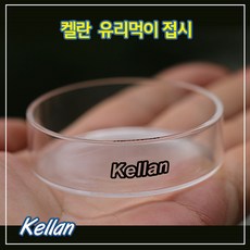 켈란 유리먹이접시, 1개