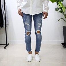 디스트로이드진