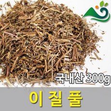 이질풀