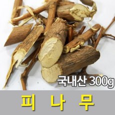 민초피나무