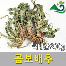 곰보배추