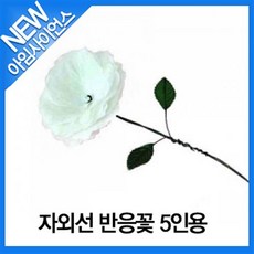 꽃그리기교과서