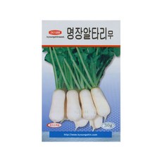 강원도고냉지달랑무