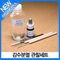처음자연관찰세트