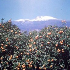 047d1cc3-1ddd-43ce-bcd8-1c0f105e95b0.jpg