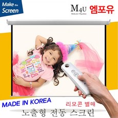 전동스크린스위치