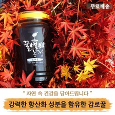 꿀벌농장 감로꿀, 2.4kg, 1개