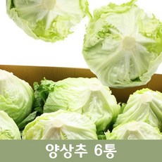 두리반농산 양상추 6통, 1박스