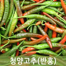 국내산 청양고추(반홍) 10kg 5kg 1kg 청양혼합 두리반농산, 1개
