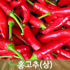 홍고추20kg