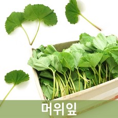 두리반농산 생머위잎 4kg, 1박스