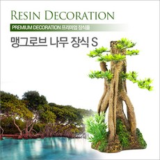 맹그로브나무