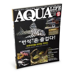 아쿠아라이프 2017년 10월호