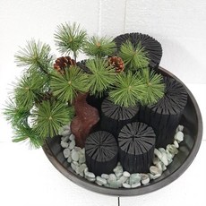 숯가습