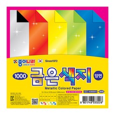 단면이형지