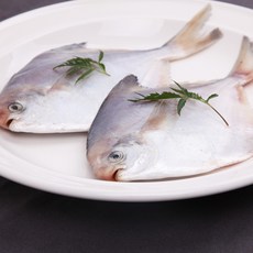 윤플러스 속살이 부드러운 여수 손질 병어(급냉) 병어, 1box, 병어 100g~150g(10미)