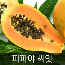 222b8b0b-3b33-4849-b827-59073bc9be2a.jpg