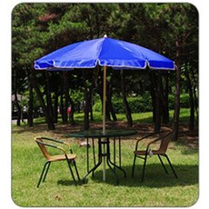 잉글레시나파라솔