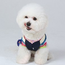 강아지한복만들기