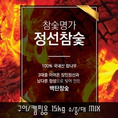 정선참숯