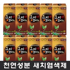 오디코디 오디코디앤 튜브형 헤어컬러, 10개, 진한갈색