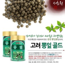 단청인삼