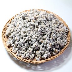 목화씨