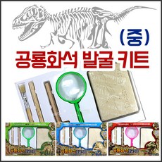 공룡발굴체험키트