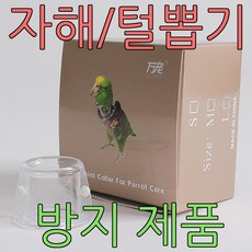자해