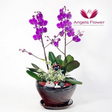8eb04f41-0162-48b2-a993-2598cb6ddf69.jpg