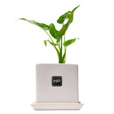 4aa882c9-ba32-4d0d-b828-4e26ce4ec2f3.jpg