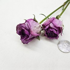 31b3b155-c6a9-48f5-8455-ec7345ae477c.jpg